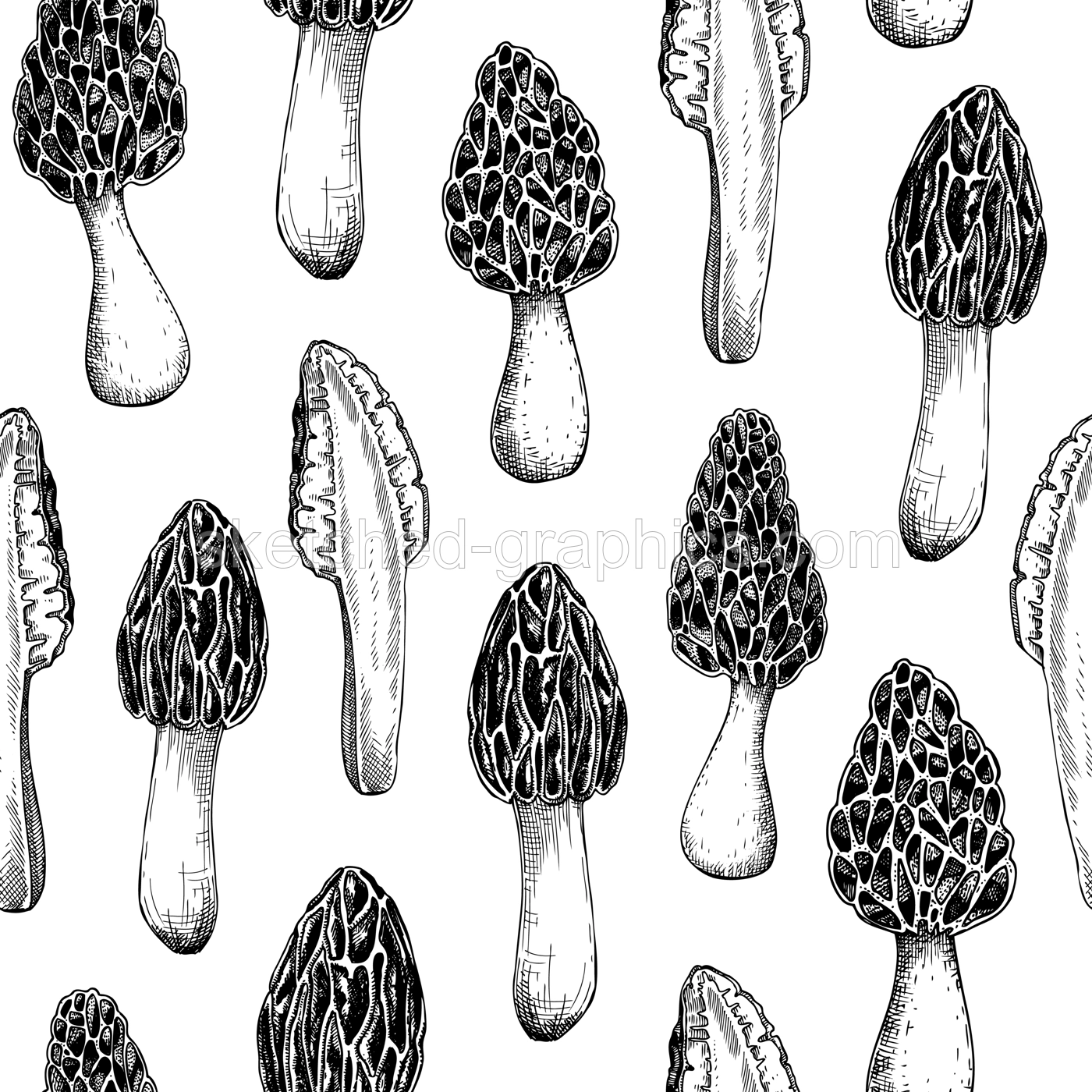 Morel Mushroom Seamless Pattern Illustration
